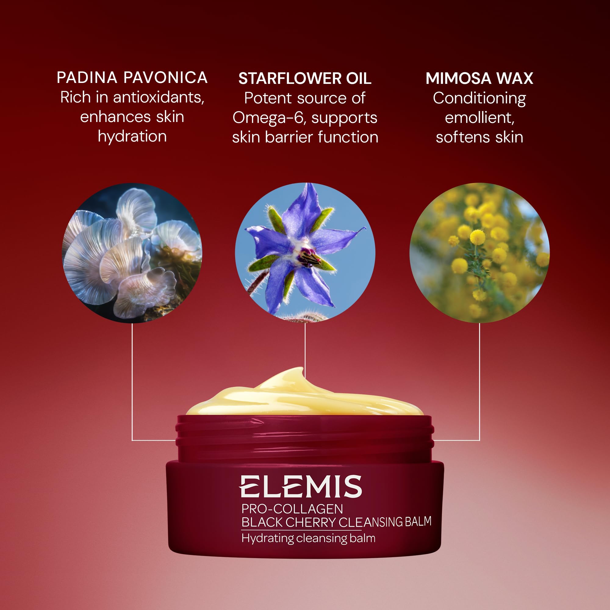 ELEMIS Pro - Collagen Cleansing Balm Makeup Remover, Hydrating Facial Cleanser, Oil Cleanser, Oil Makeup Remover, Deep Cleanse - Colores Coastal Woods by Colores Enterprises