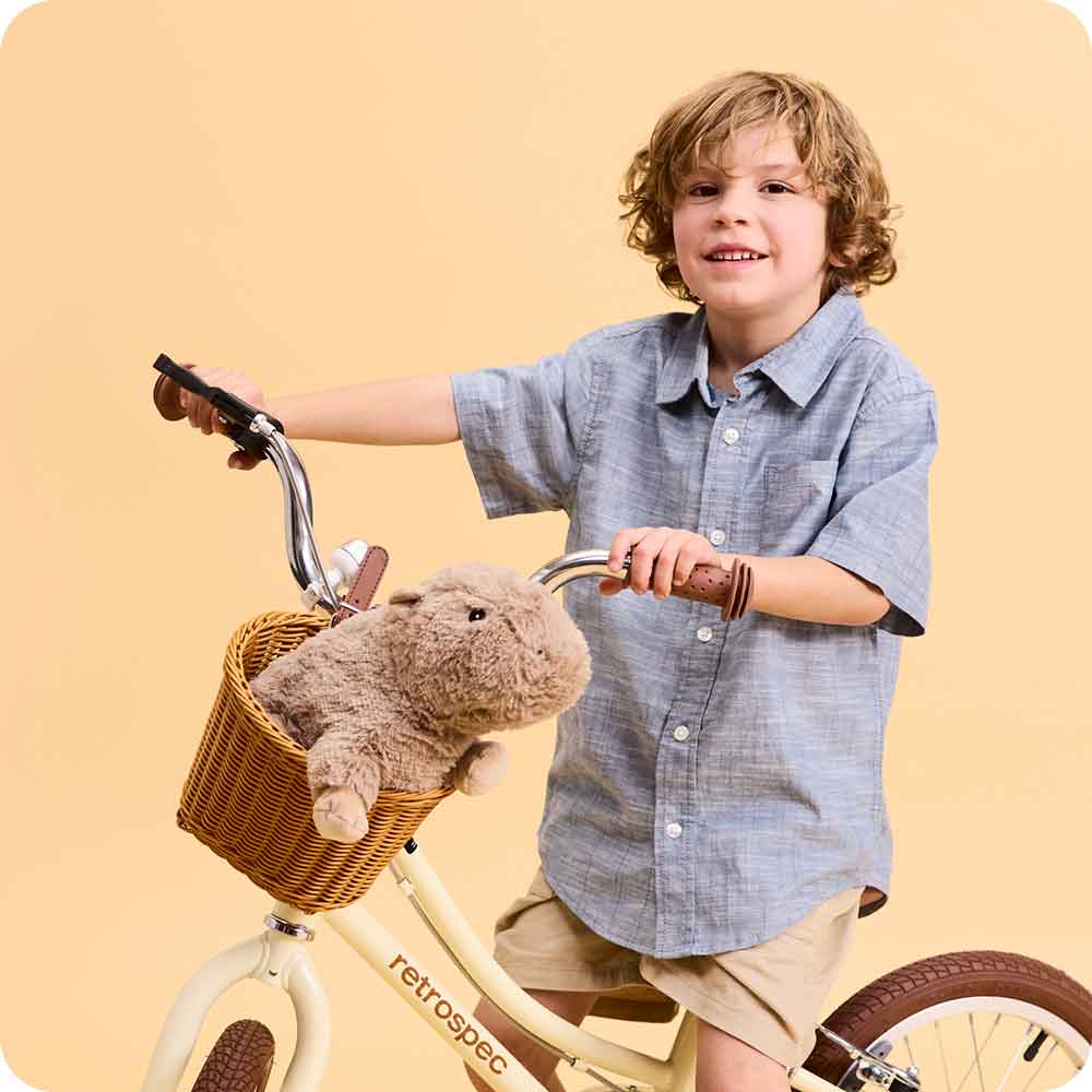 Preorder: Capybara Warmies - Colores Coastal Woods by Colores Enterprises