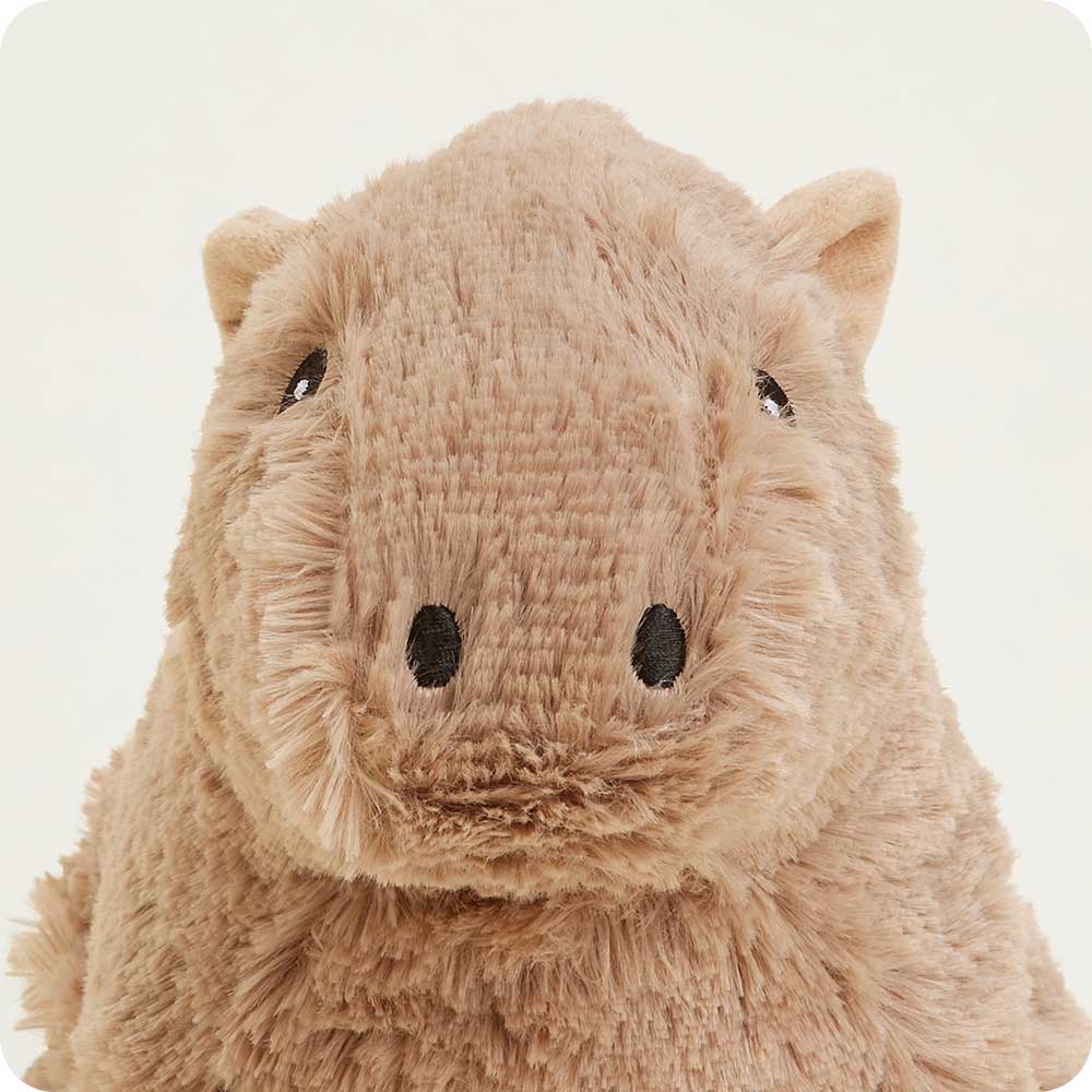 Preorder: Capybara Warmies - Colores Coastal Woods by Colores Enterprises